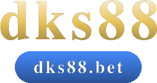 dks88 logo
